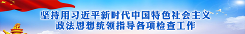 坚持用习近平新时代中国特色社会主义政法思想统领指导各项检查工作