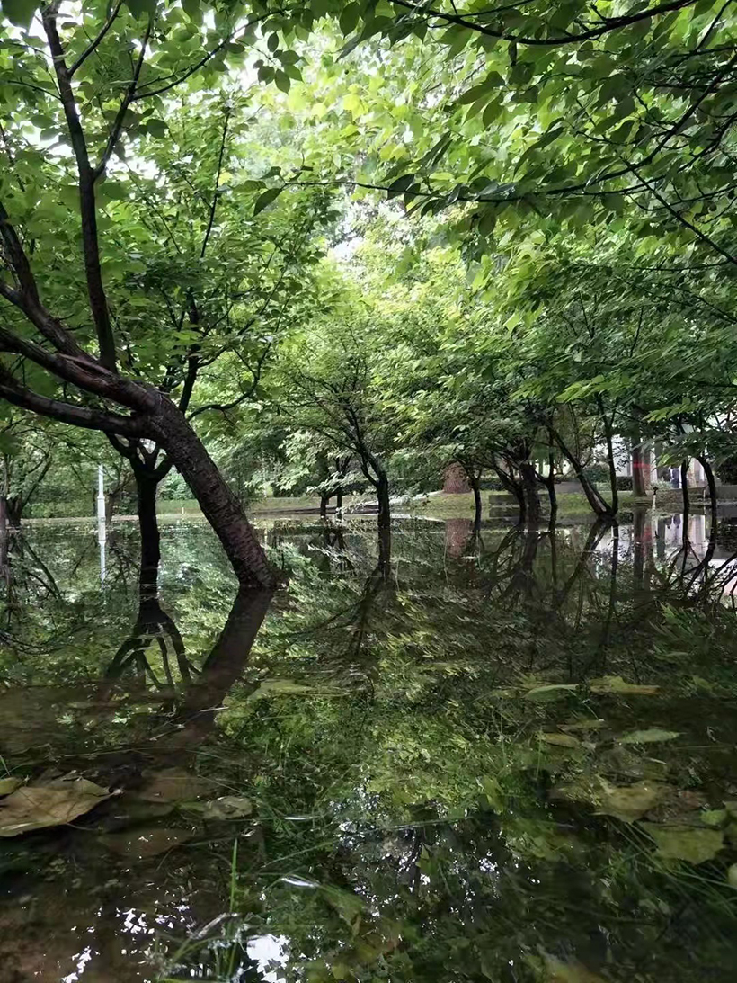 静海区检察院：马凯摄影作品《春色新雨》