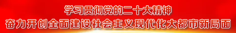 学习贯彻党的二十大精神 奋力开创全面建设社会主义现代化大都市新局面